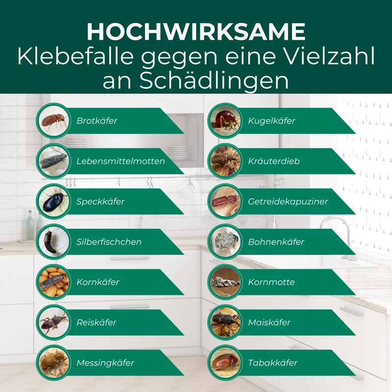 Brotkäferfalle – Universal-Klebefalle mit Lockstoff