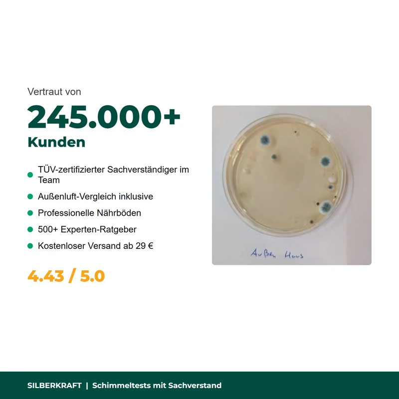 Schimmeltest Raumluft mit Laboranalyse & Außenluft-Vergleich Raumlufttest