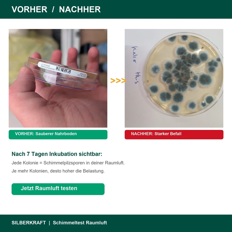 Schimmeltest Komplett-Set inkl. Laboranalyse | 3-fach Test für Raumluft & Oberflächen Raulufttest