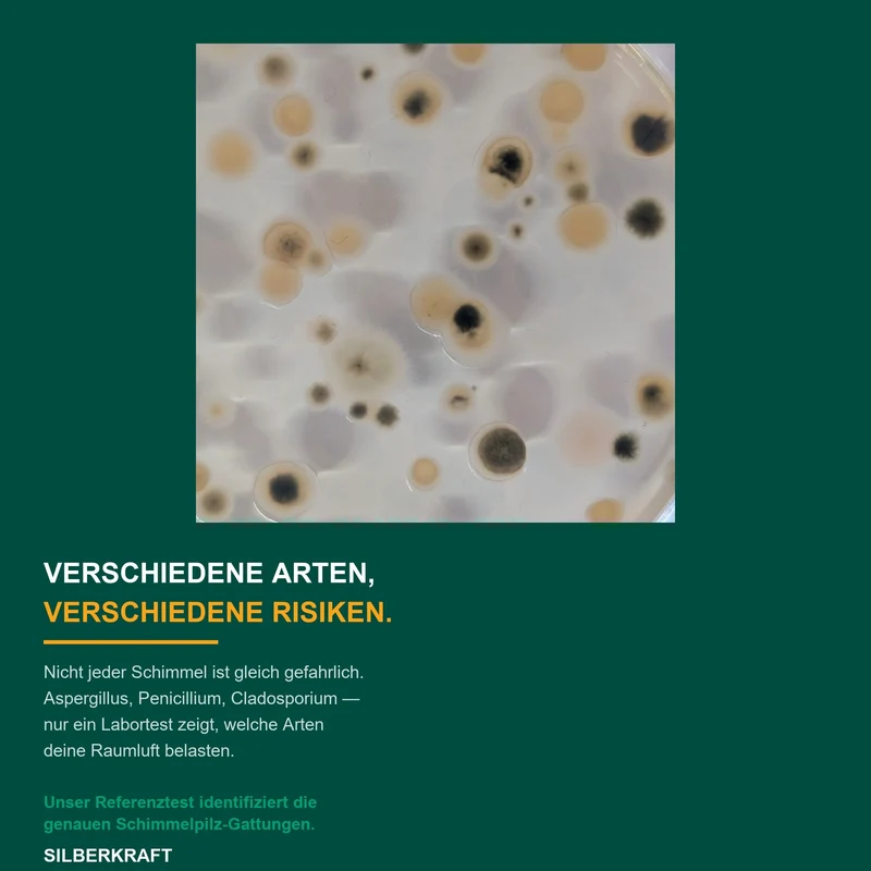 Schimmeltest Komplett-Set inkl. Laboranalyse | 3-fach Test für Raumluft & Oberflächen Raulufttest
