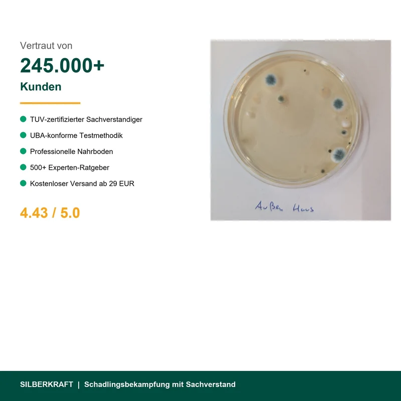 Schimmeltest Komplett-Set inkl. Laboranalyse | 3-fach Test für Raumluft & Oberflächen Raulufttest
