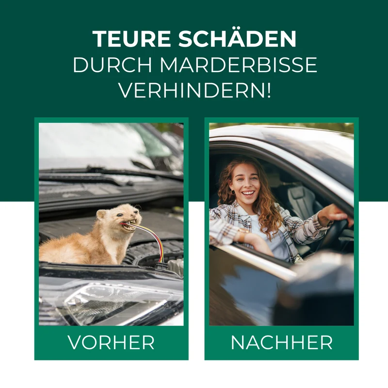 Marder-Stopp Spray: Hochwirksamer Marderschutz für dein Auto und Zuhause