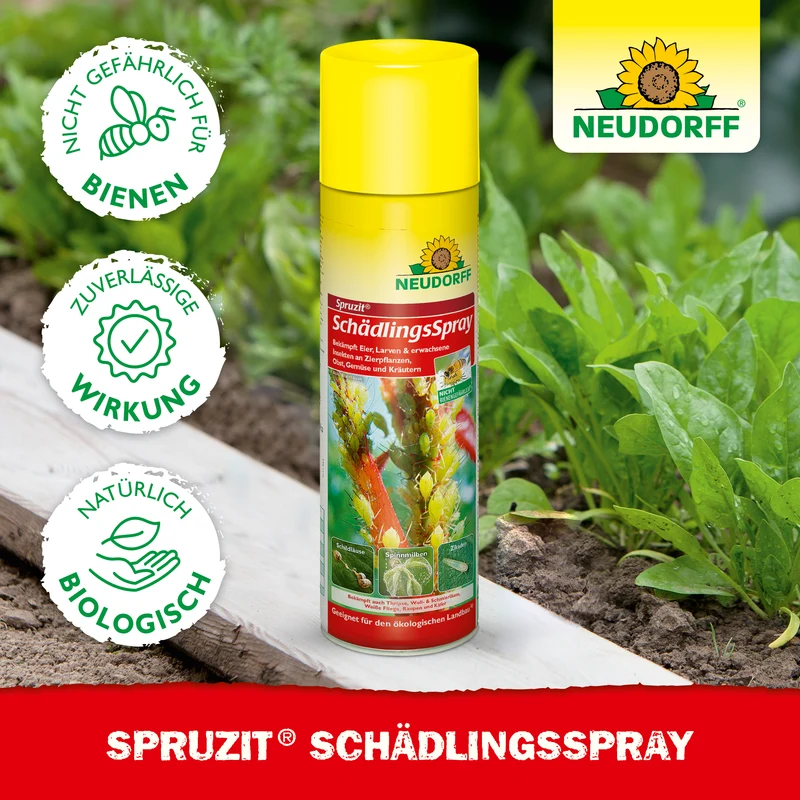 Neudorff Spruzit SchädlingsSpray gegen Läuse, Thripse, Weiße Fliegen, Spinnmilben, Zikaden, Raupen und Käfer