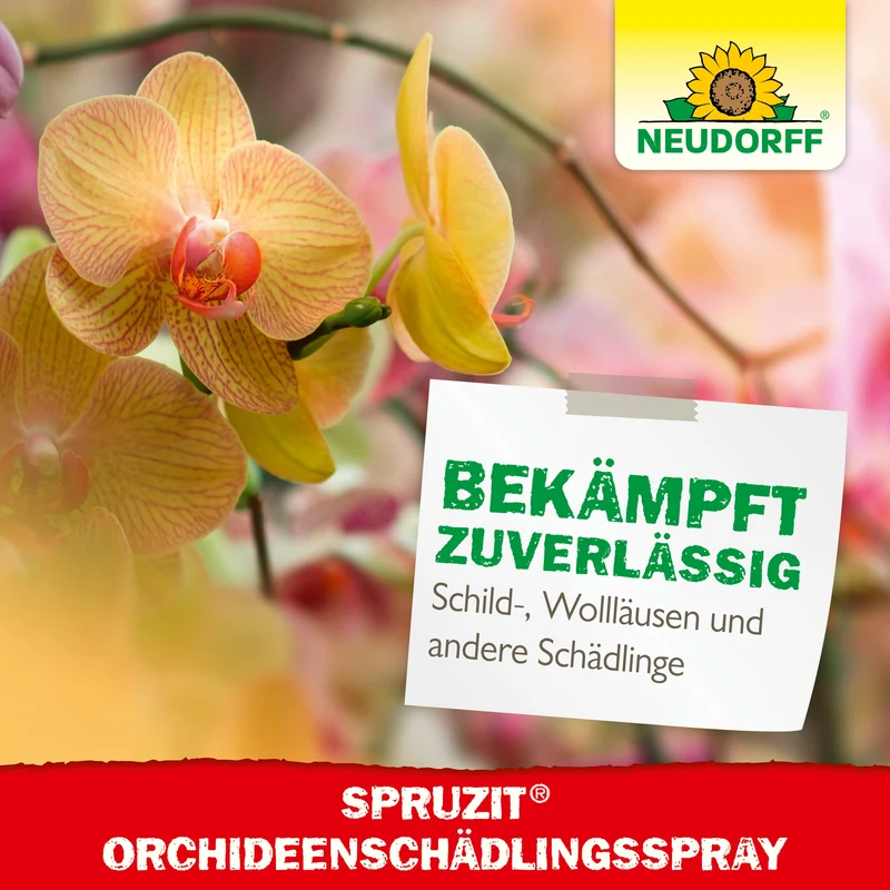 Neudorff Spruzit OrchideenSchädlingsSpray (auch gegen Thripse & Weiße Fliege)