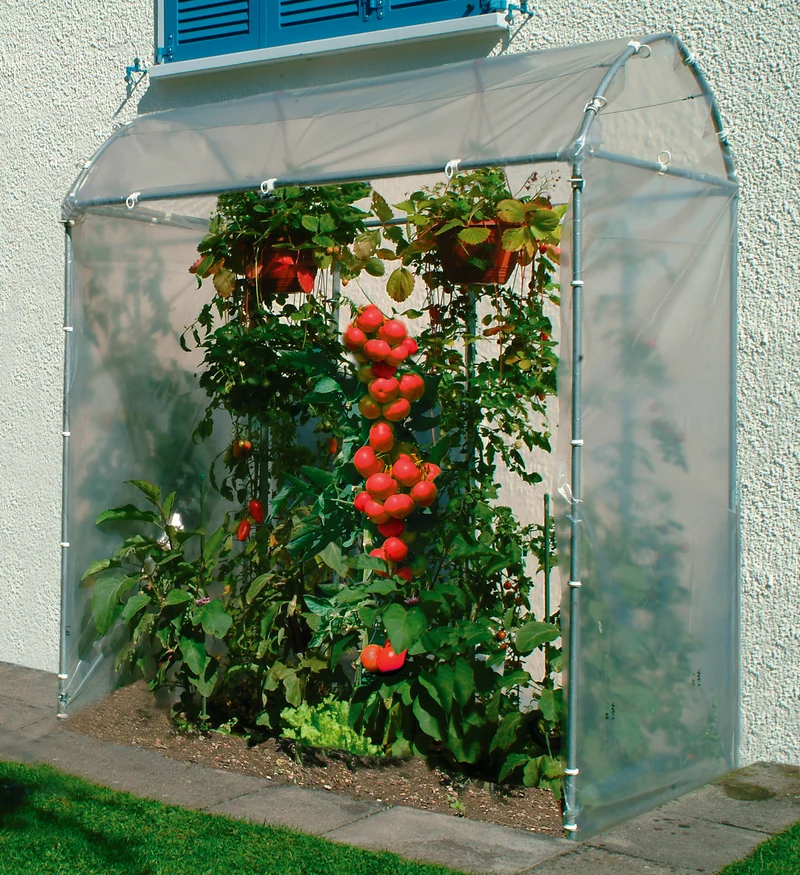 Tomatenhaus 175 x 100 x 210 cm, Stahlrohr verzinkt