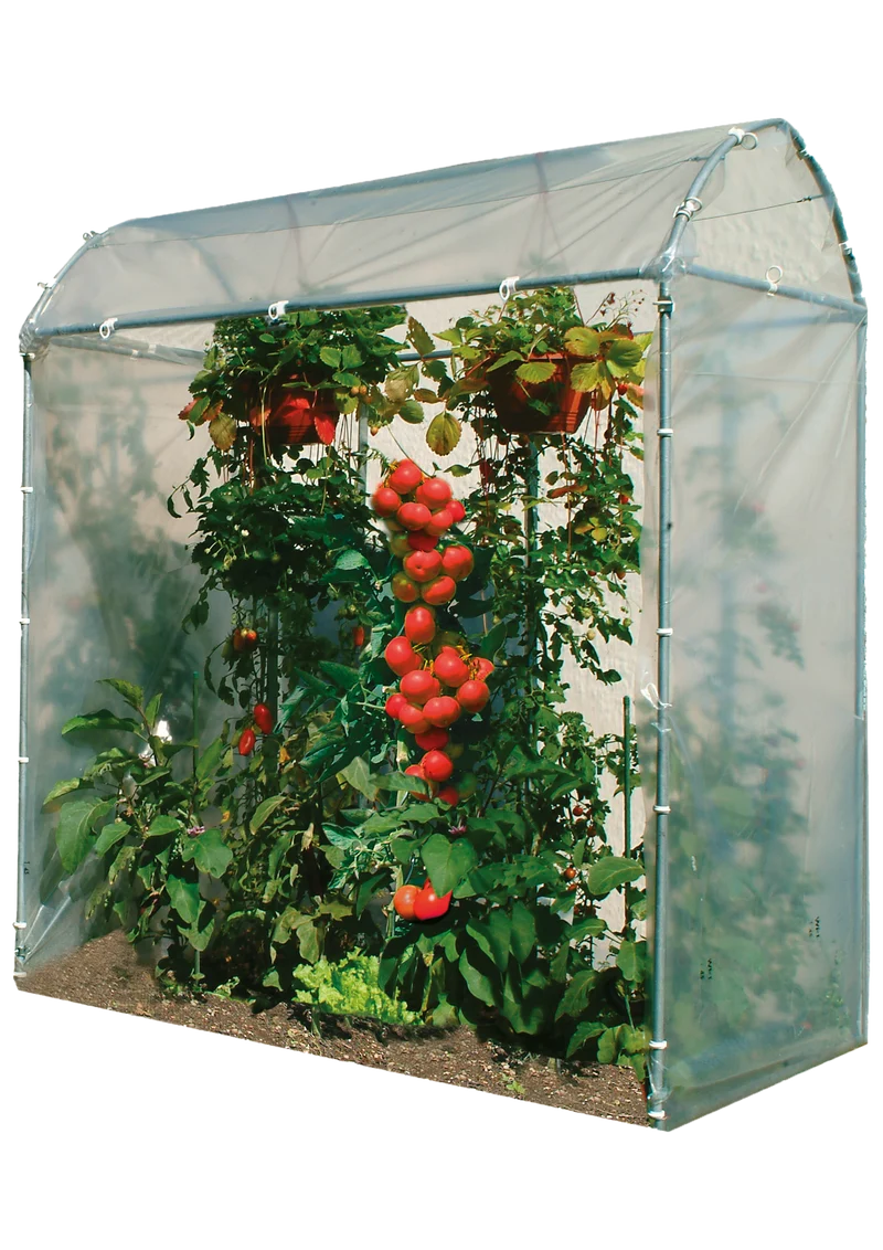 Tomatenhaus 175 x 100 x 210 cm, Stahlrohr verzinkt