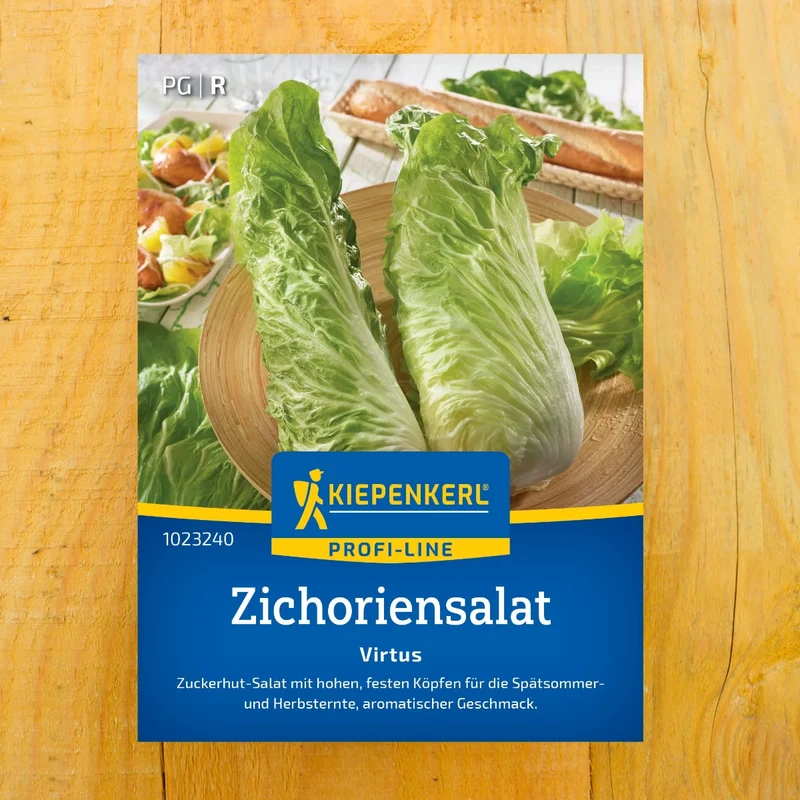 Zichoriensalat Virtus, F1