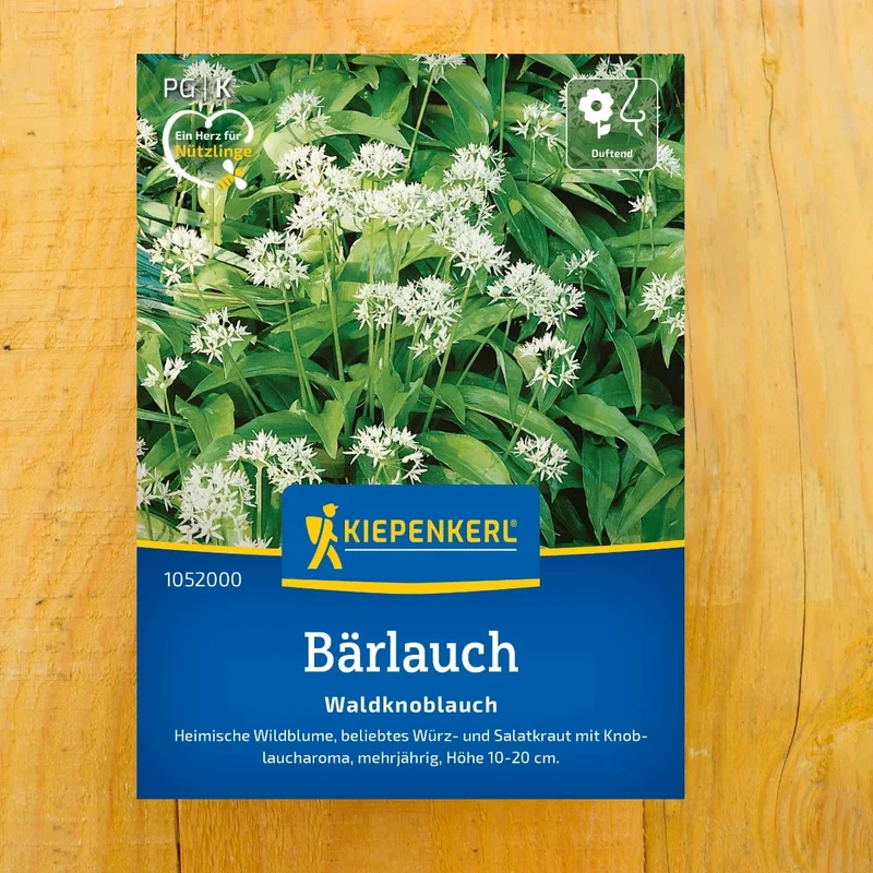 Bärlauch