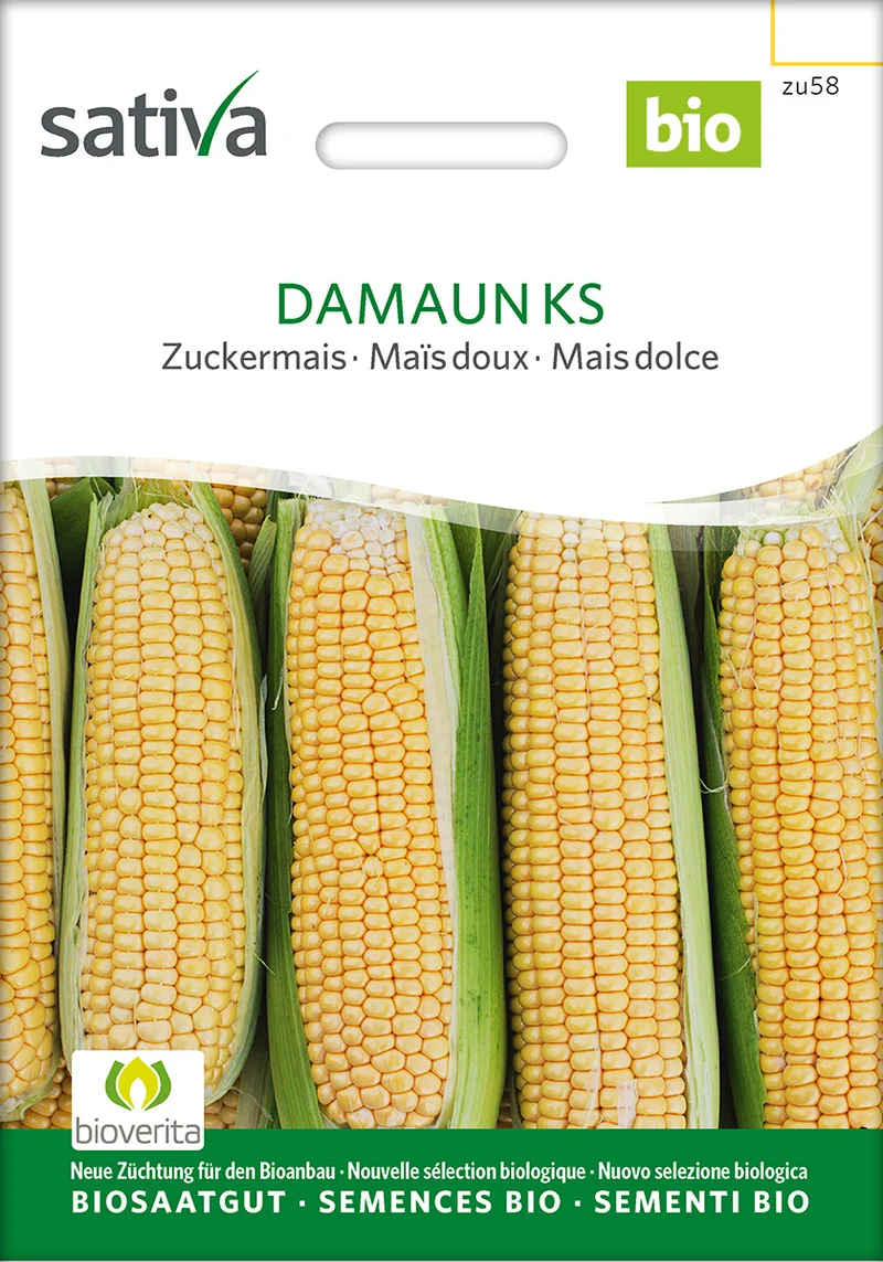 BIO Saatgut Zuckermais Damaun KS