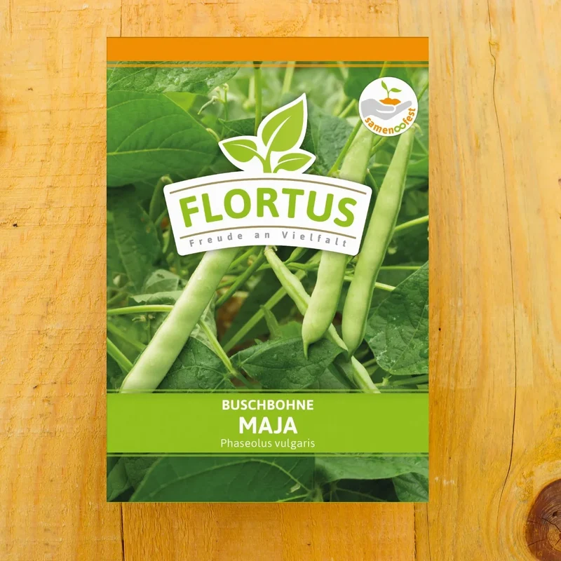 Buschbohne Maja