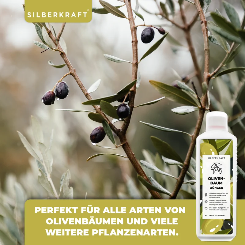 Olivenbaumdünger - Mineralischer NPK Flüssigdünger mit Stickstoff - Dünger für Olivenbäume - Oliven Dünger