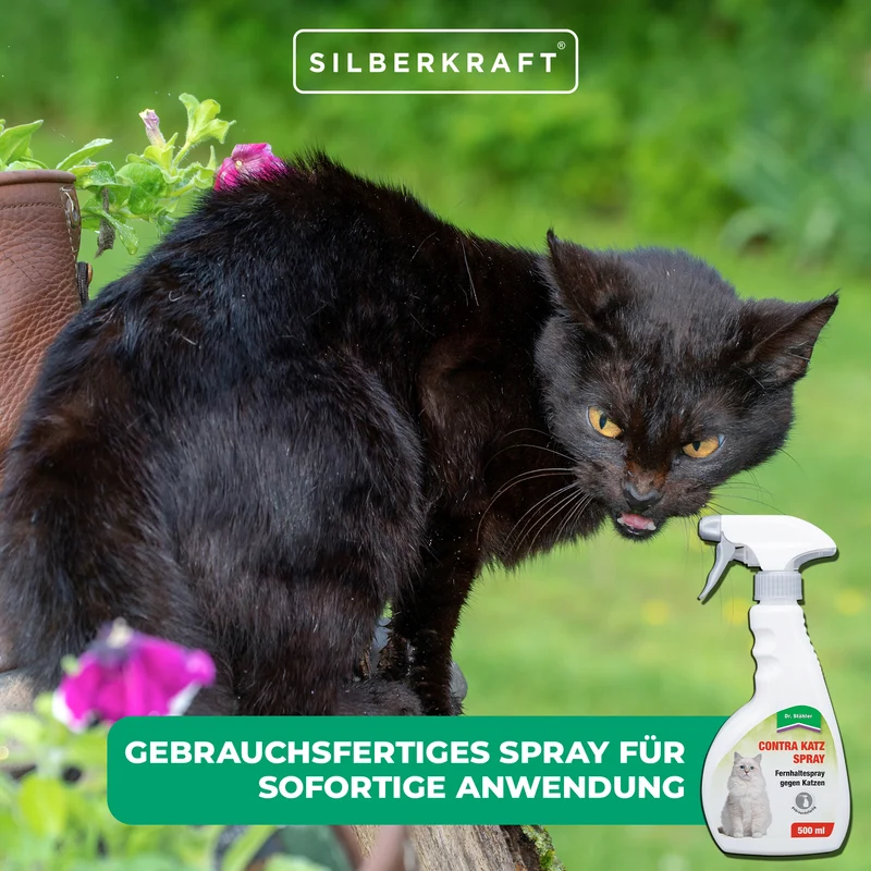 Contra Katzen-Fernhaltespray: Zuverlässiger Katzenschutz für Haus und Garten