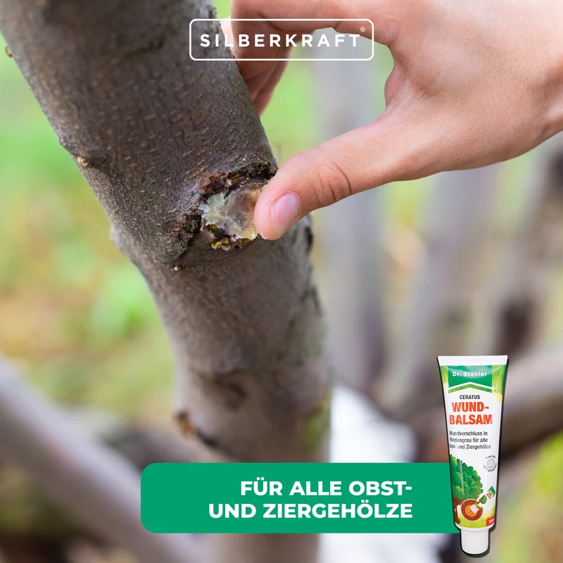 Ceratus Wundbalsam – Mittel zur Wundversorgung für Bäume