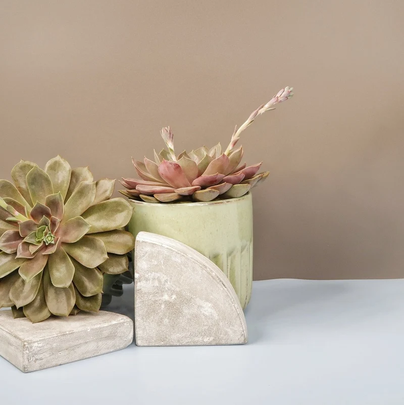 ECHEVERIA MINA