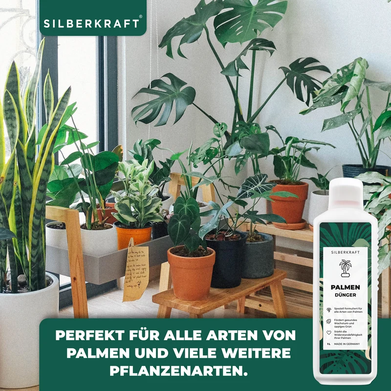 Palmendünger - Mineralischer NPK Flüssigdünger mit Stickstoff - Dünger für Palmen - Yucca Palmen Dünger - Palmen düngen