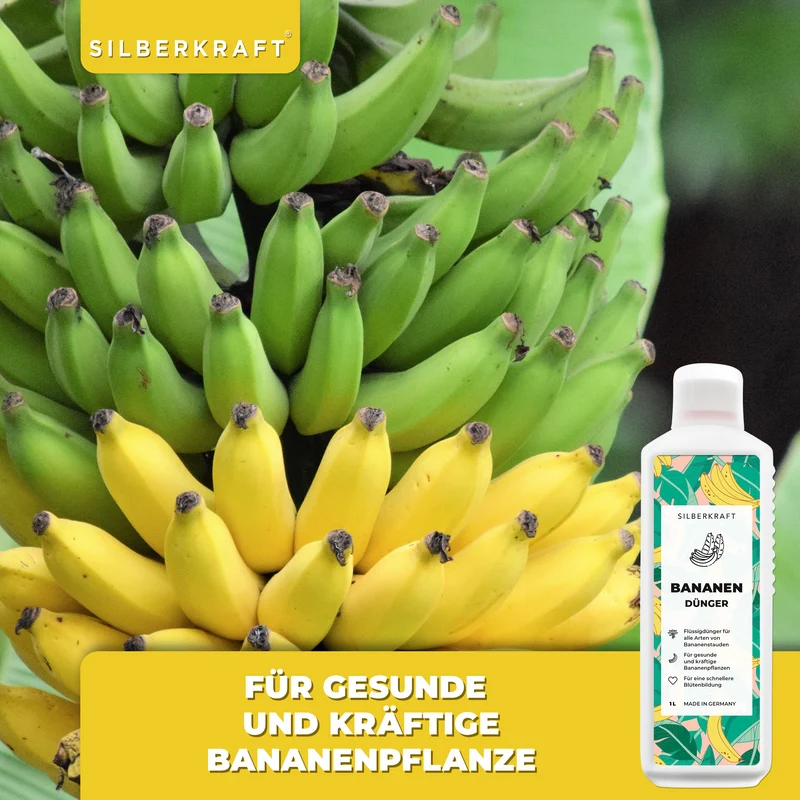 Bananendünger - Mineralischer NPK Flüssigdünger mit Stickstoff - Dünger für Bananen