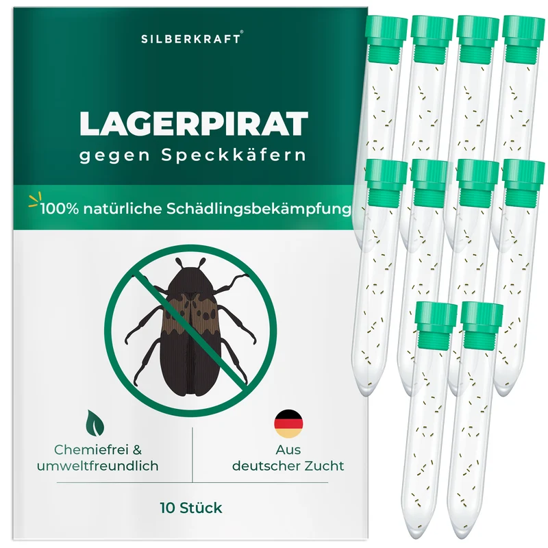 Lagerpirat zur Bekämpfung von Speckkäfern, Teppichkäfer & Vorratsschädlingen Lagerpiraten (Raubwanze Xylocoris Xylocoris flavipes)