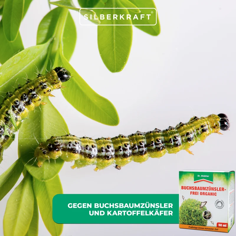 Buchsbaumzünsler-Frei Organic: Schützt effektiv vor Schadinsekten