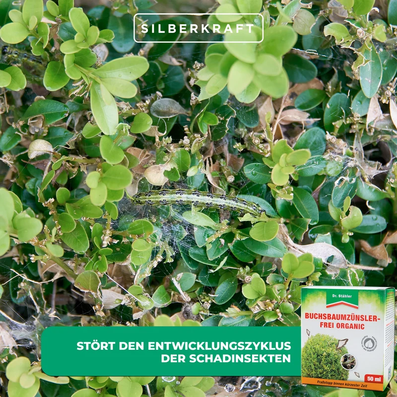 Buchsbaumzünsler-Frei Organic: Schützt effektiv vor Schadinsekten