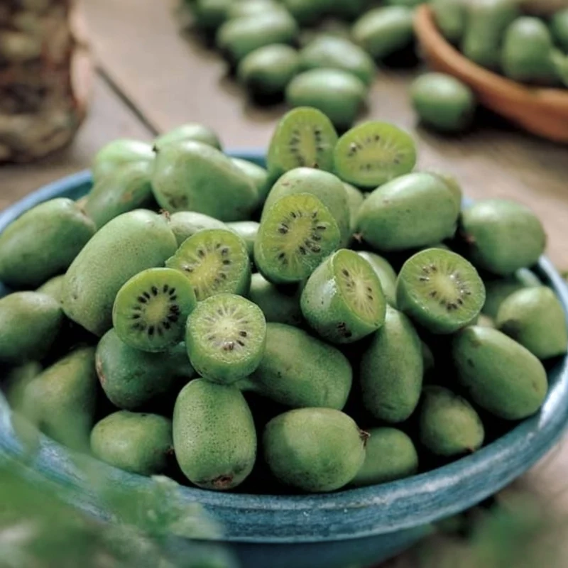 Mini-Kiwi 'Issai'