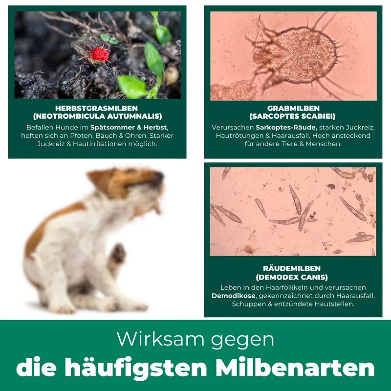 Milbenspray für Hunde