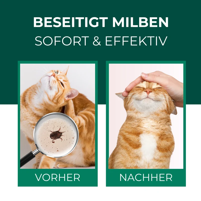 Milbenspray für Katzen
