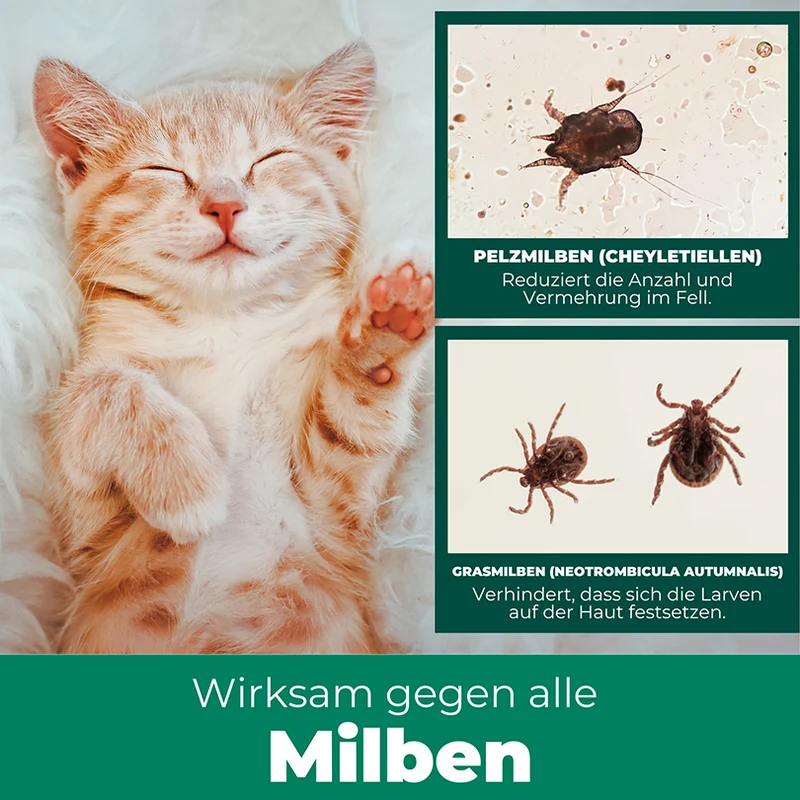 Milbenspray für Katzen