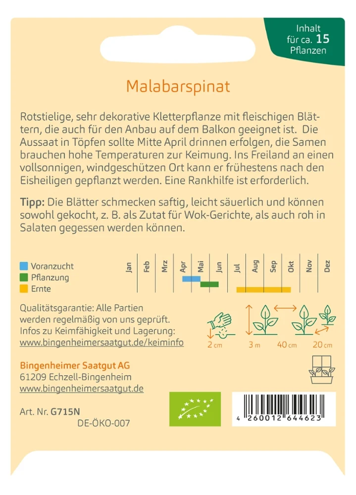 BIO Saatgut Klettersalat Malabarspinat