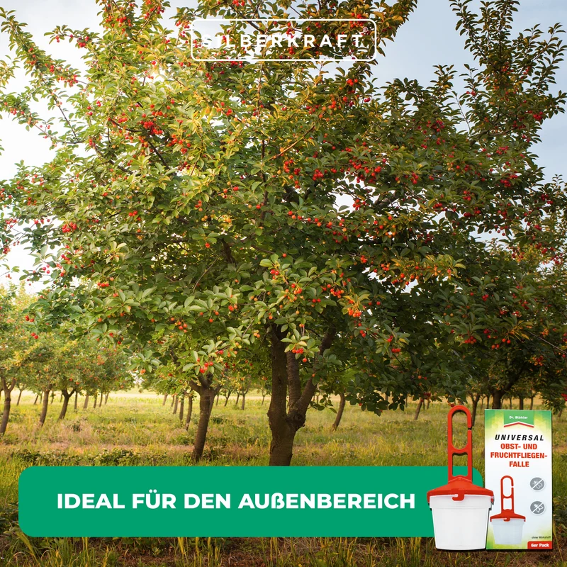 Universal Obst- und Fruchtfliegenfalle - Zum Befüllen mit einem Lockstoff gegen Fruchtfliegen
