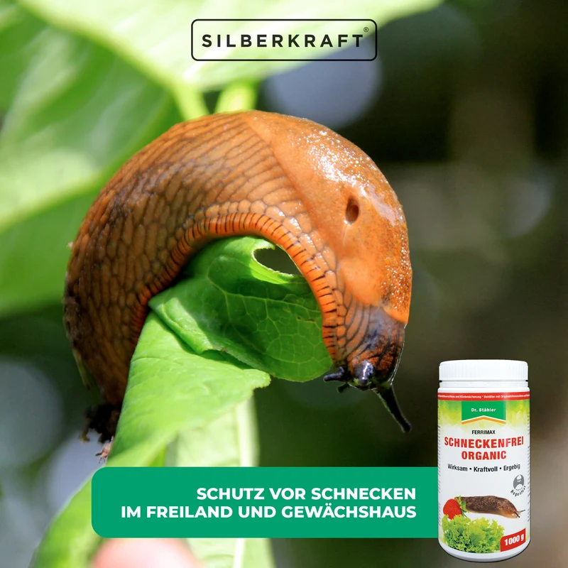 Schneckenfrei-Organic: Effektiver Schutz vor Schnecken im Garten