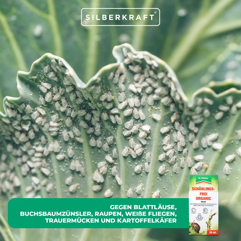 Schädlingsfrei-Organic mit Neem-Baum-Extrakt: Schutz vor Schädlingen