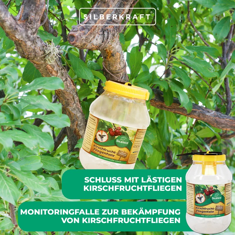 Silence Kirschfruchtfliegenfalle: Ideal zum Abfangen von Fruchtfliegen