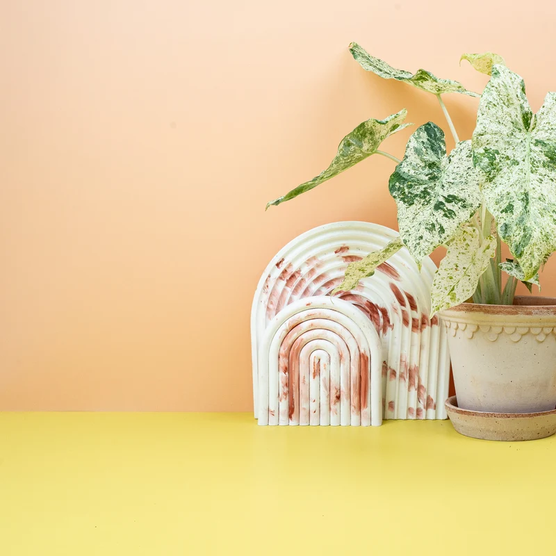 ALOCASIA MACRORRHIZA SPLASH
