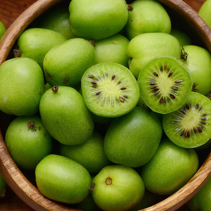 Mini-Kiwi 'Weiki'