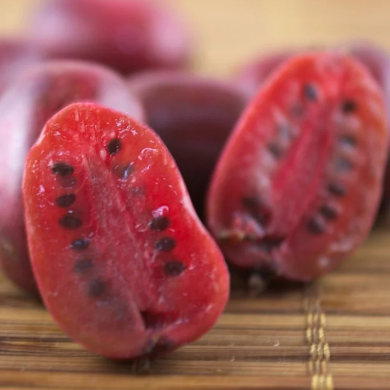 Mini-Kiwi 'Ken's Red'