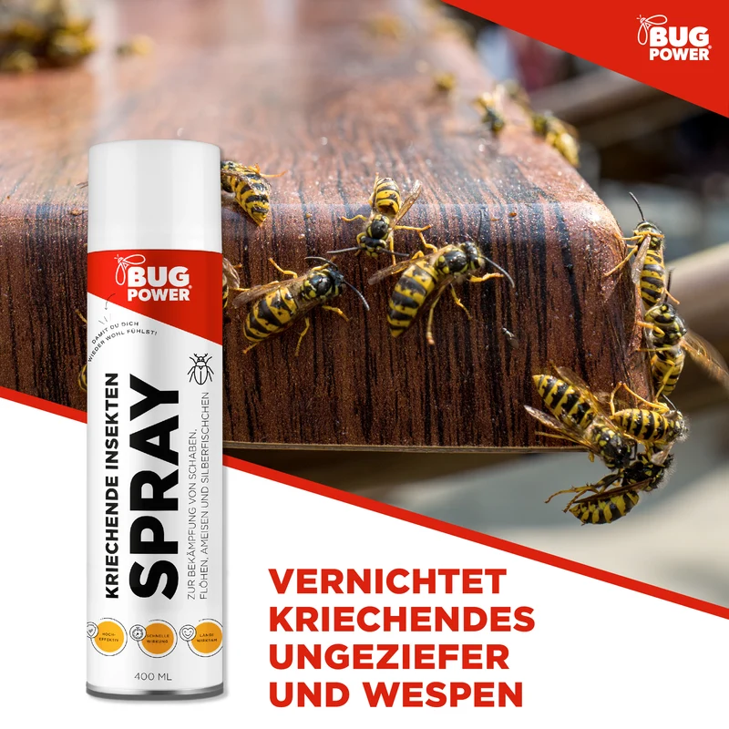 BugPower Spray gegen kriechende Insekten und Wespen 400 ml - breites Wirkungsspektrum - schnelle Wirkung & Knock-Down-Effekt