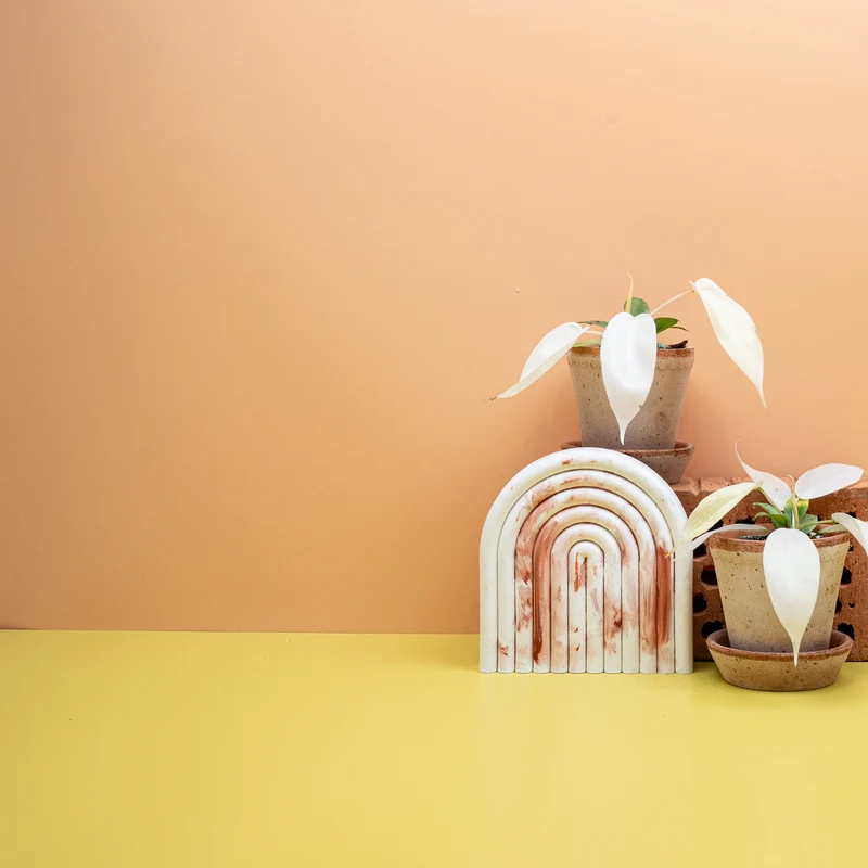 PHILODENDRON FLORIDA GHOST