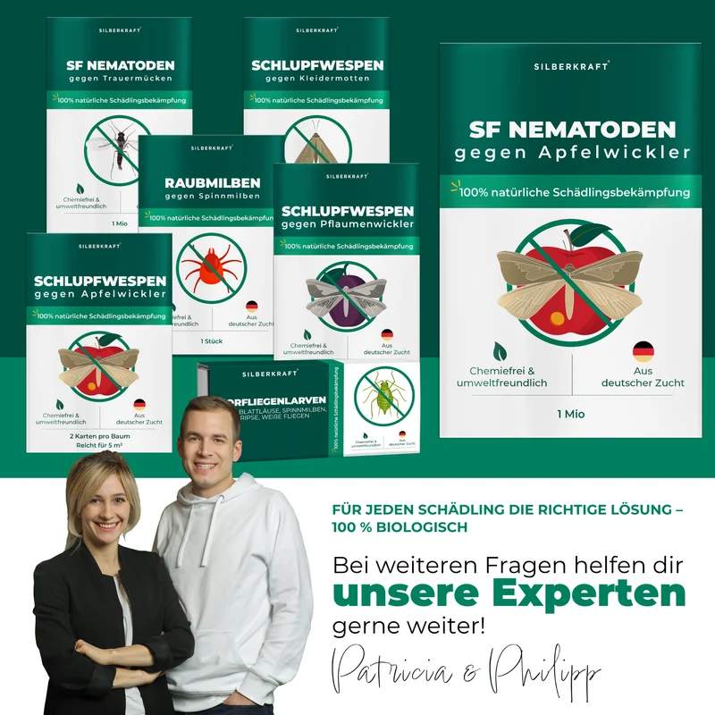 SF Nematoden gegen Apfelwickler