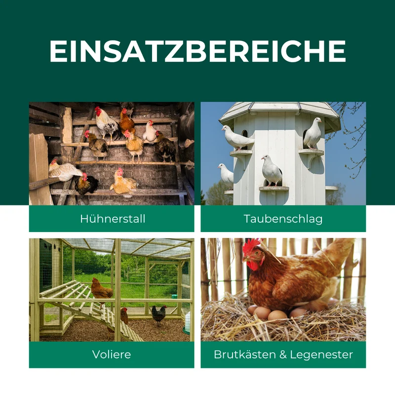 Raubmilben gegen Rote Vogelmilben (Stratiolaelaps scimitus / Hypoaspis miles)