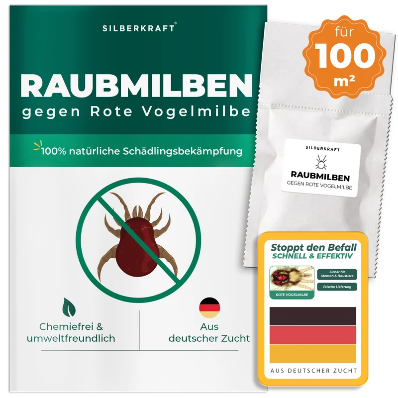 Raubmilben gegen Rote Vogelmilben (Stratiolaelaps scimitus / Hypoaspis miles)