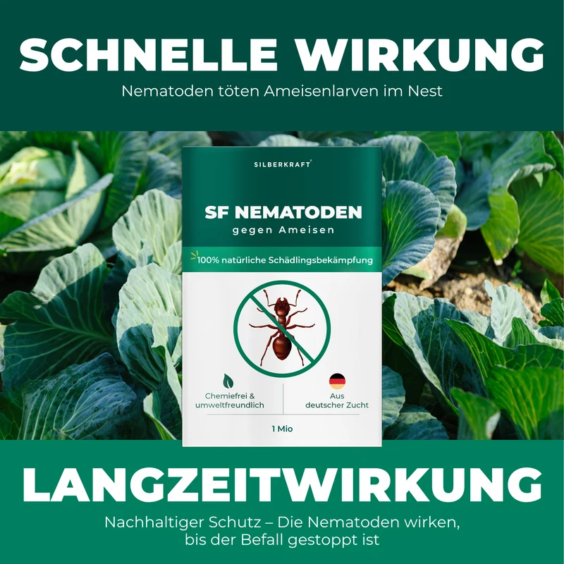 SF Nematoden gegen Ameisen