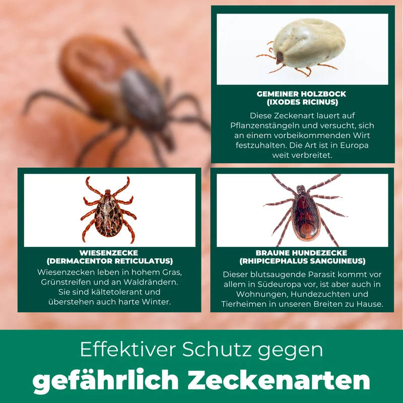 Zeckenfrei-Set - Dein Duo für Schutz & Entfernung