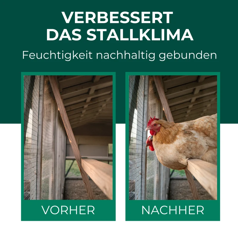 Kieselgur für Hühner & Hoftiere