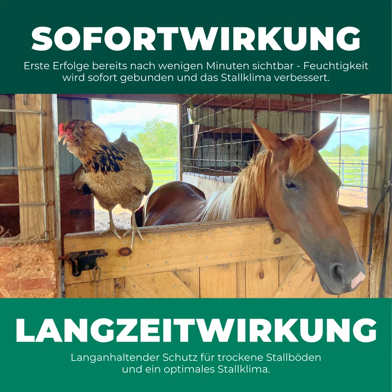 Kieselgur für Hühner & Hoftiere
