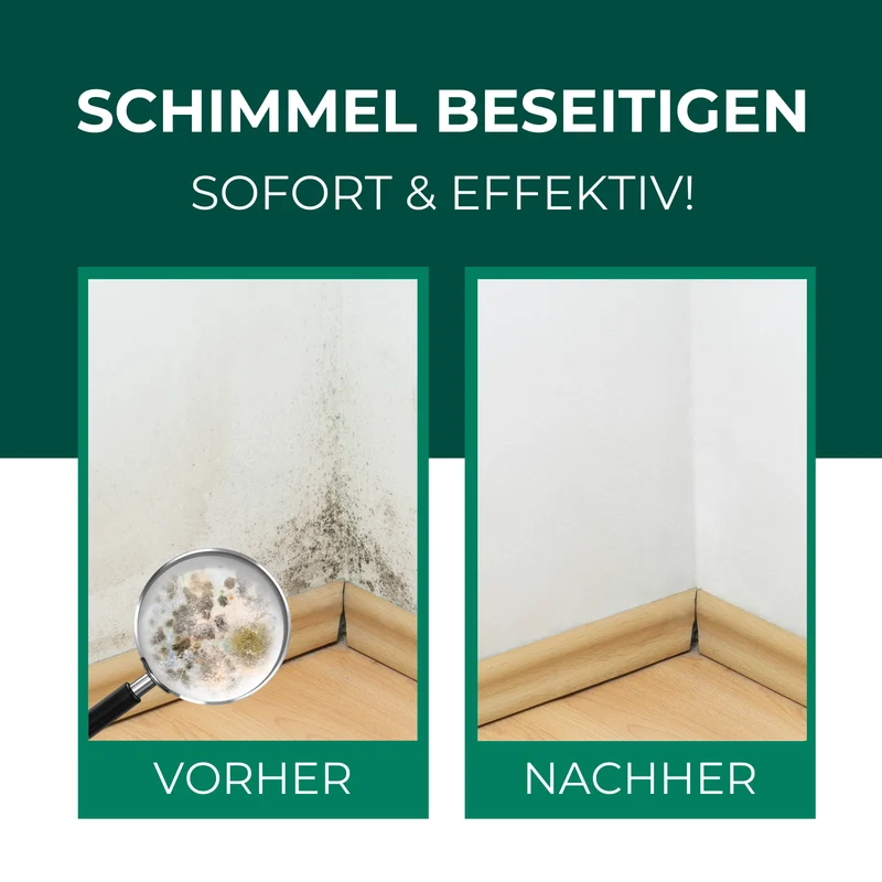 Schimmelentferner / Schimmelspray mit E-Book - Gegen Schimmel & Stockflecken