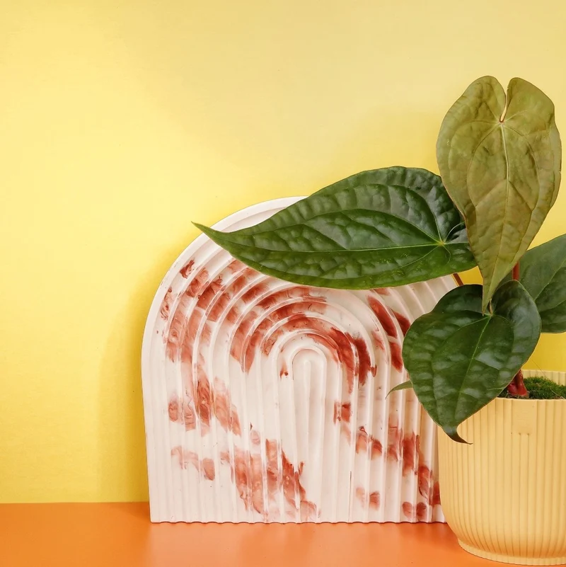 ANTHURIUM MAGNIFICUM X LUXURIANS
