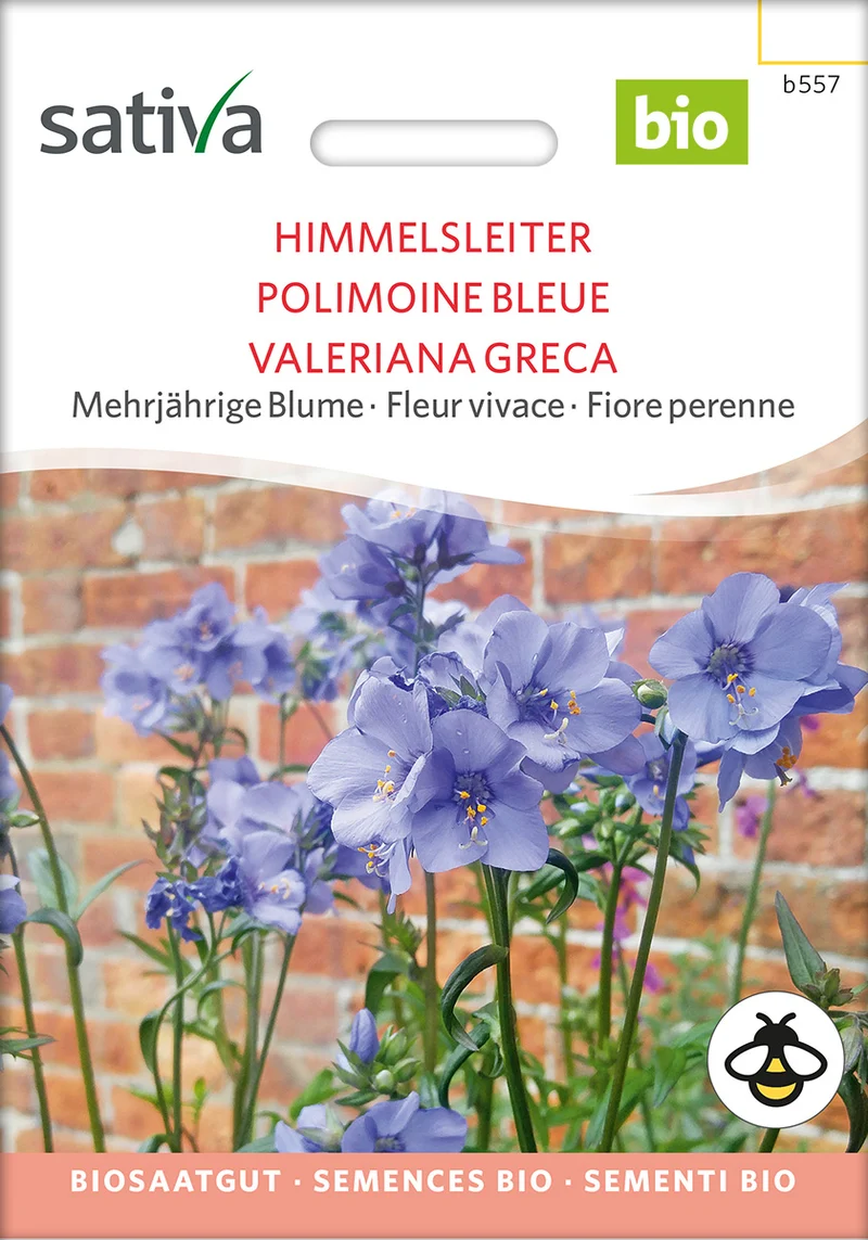 BIO Saatgut Himmelsleiter