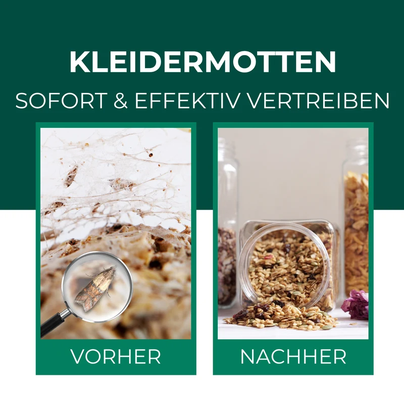 Lebensmittelmottenfallen, Pheromon-Leimfallen zur Befallsüberwachung von Lebensmittelmotten in Küche & Vorratsräumen inkl. E-Book