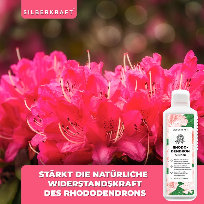 Rhododendron Dünger - Mineralischer NPK Flüssigdünger mit Stickstoff - Dünger für Rhododendren - Azaleen Dünger - Kamelien Dünger