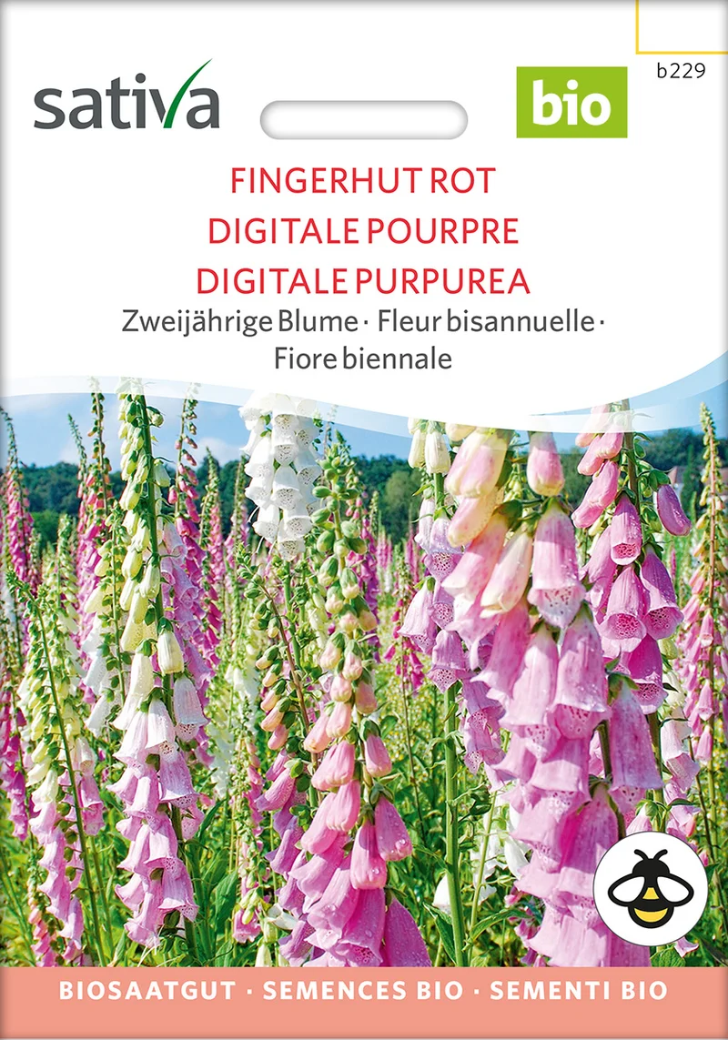BIO Saatgut Fingerhut rot